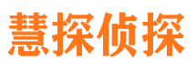 雁江市私家侦探